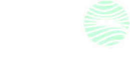 logo-borowski
